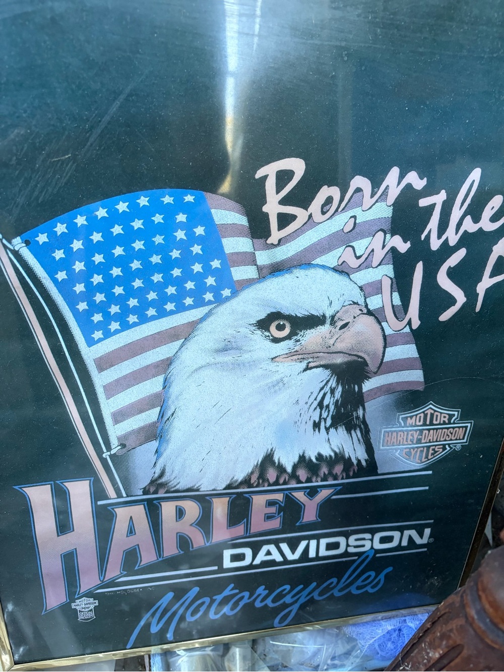 Harley-Davidson Blue and White Eagle USA Wall Art